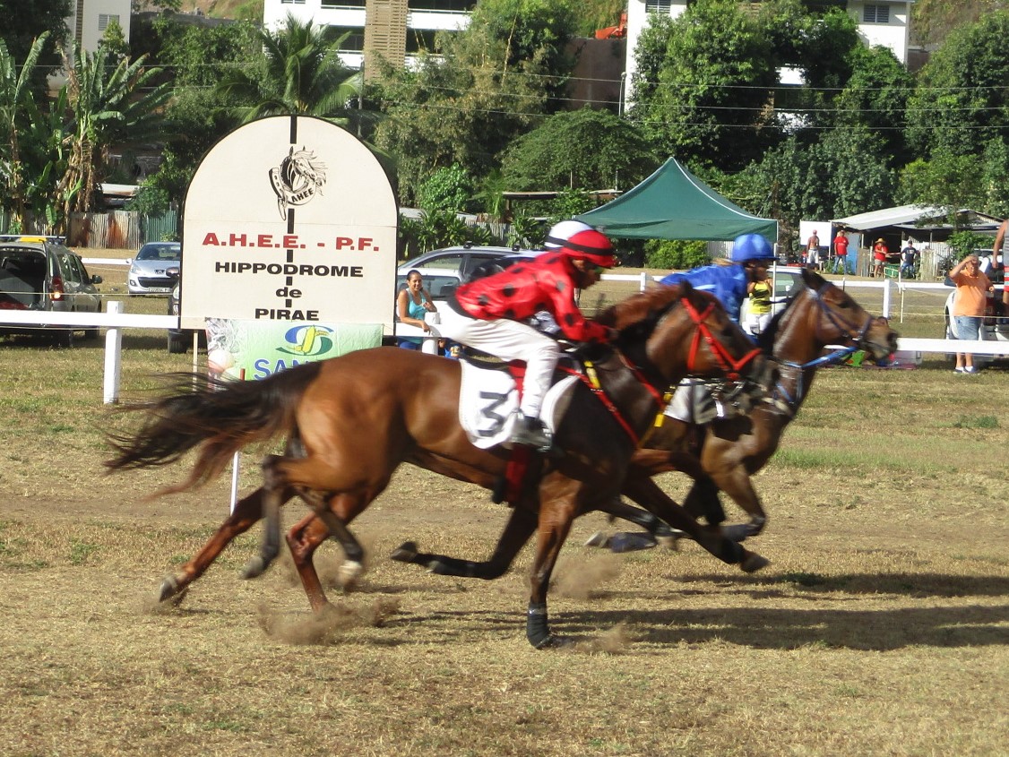 "Suivant le niveau de chacun on va développer avec eux l'approche du cheval, puis l'approche de la monte jockey parce qu'elle est différente de la monte en équitation. Après au fur et à mesure de la formation on passera sur les pistes, pour commencer un travail en carrière puis sur les pistes", précise Gilles Valdenaire, secrétaire de l'association.