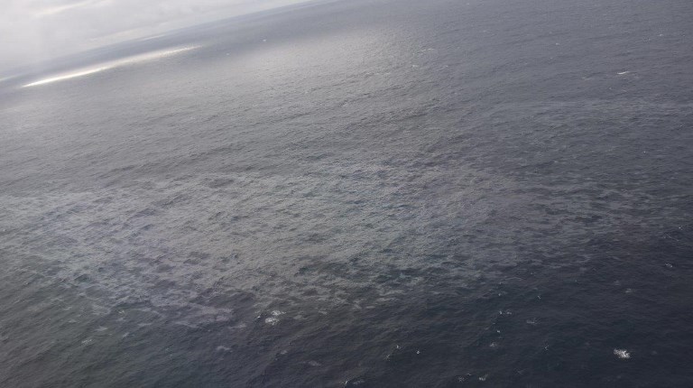 Grande America: un premier conteneur acheminé à La Rochelle: 6 tonnes de chips