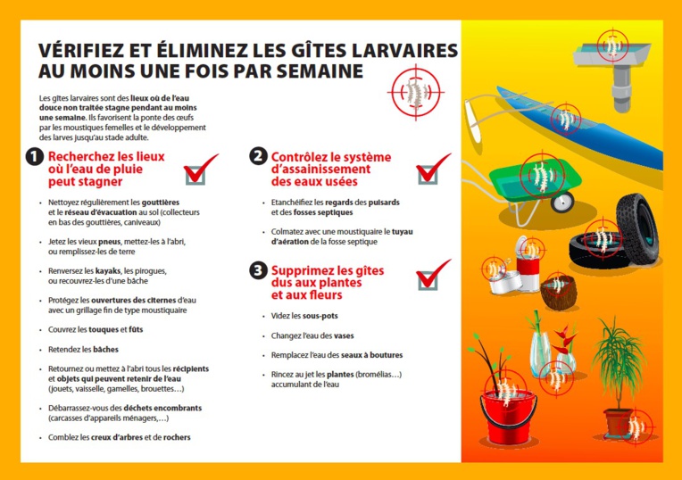 Un cas autochtone de dengue 2 alerte les autorités sanitaires