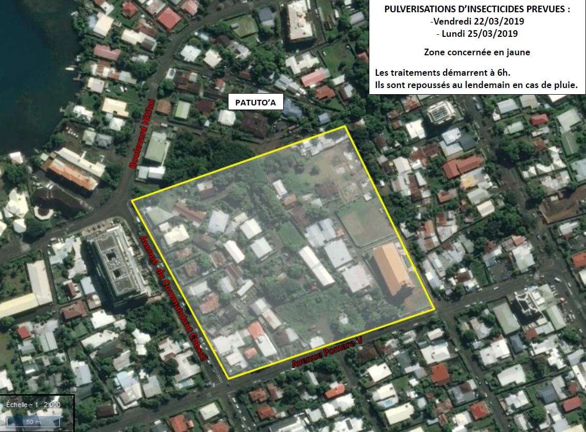 Le secteur de Patutoa, à Papeete, où réside le cas de dengue type 2 récemment recensé.