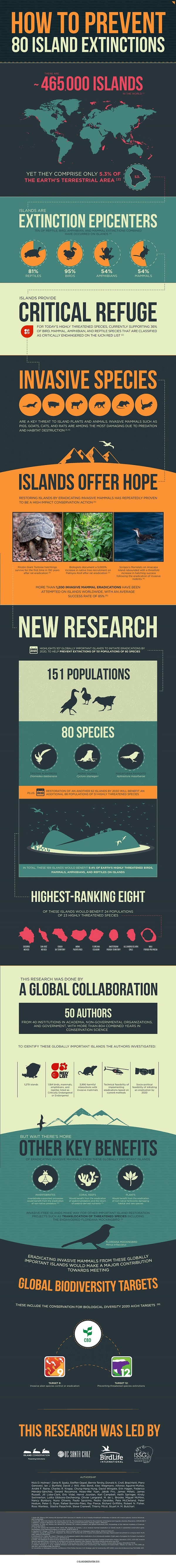 Les dix îles polynésiennes à dératiser d'urgence