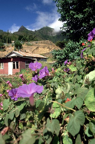 Aujourd’hui, l’archipel de Juan Fernandez est inscrit au patrimoine mondial de l’Humanité. Ses habitants, victimes d’un terrible raz-de-marée en 2010, vivent de la pêche et du tourisme.
