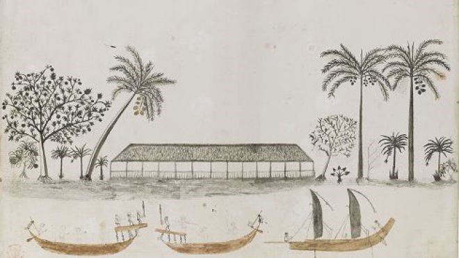 Nous ne disposons d’aucun portrait de Tupaia. Ci-dessus une aquarelle qui lui est attribuée. (Collection British Library).