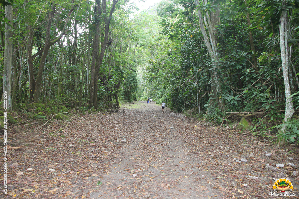 La vallée de la Fautaua de nouveau fermée