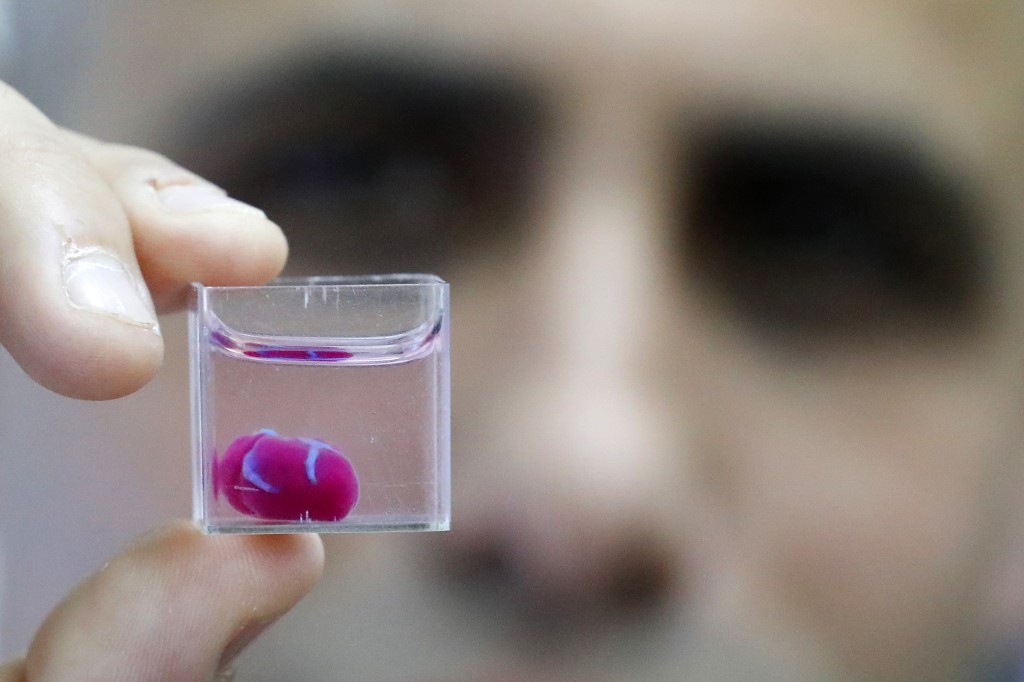 Israël: des scientifiques présentent un prototype de cœur en 3D à partir de tissu humain