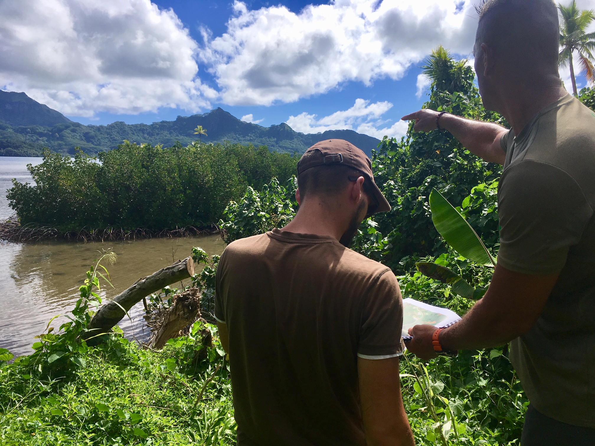 La mangrove polynésienne sous les radars de la Fape