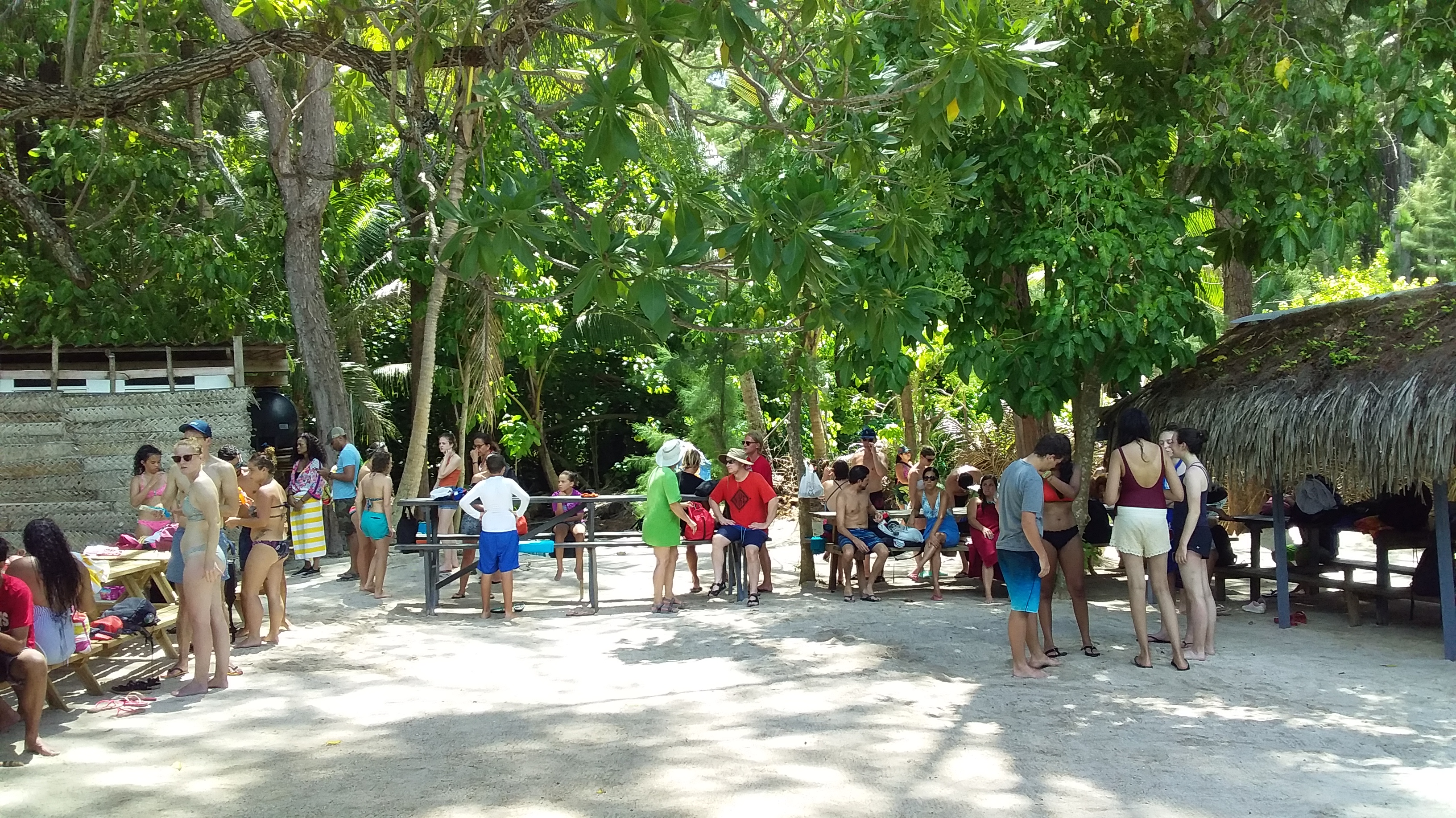 Hausse de 31 % de la fréquentation touristique en janvier