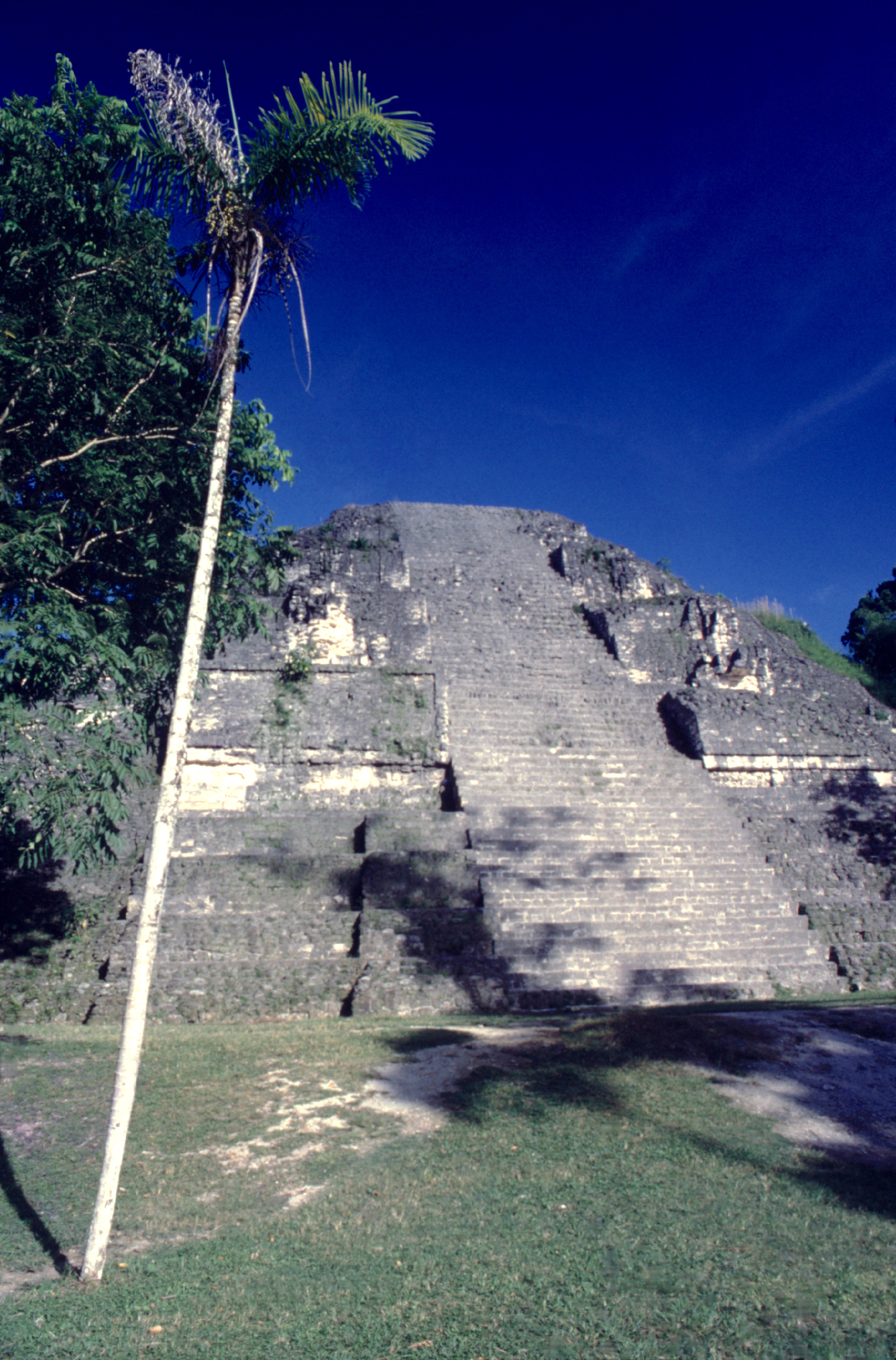 La grande pyramide restaurée (structure 5C) ; il y a quelques décennies, ce n’était qu’un monticule de végétation informe...