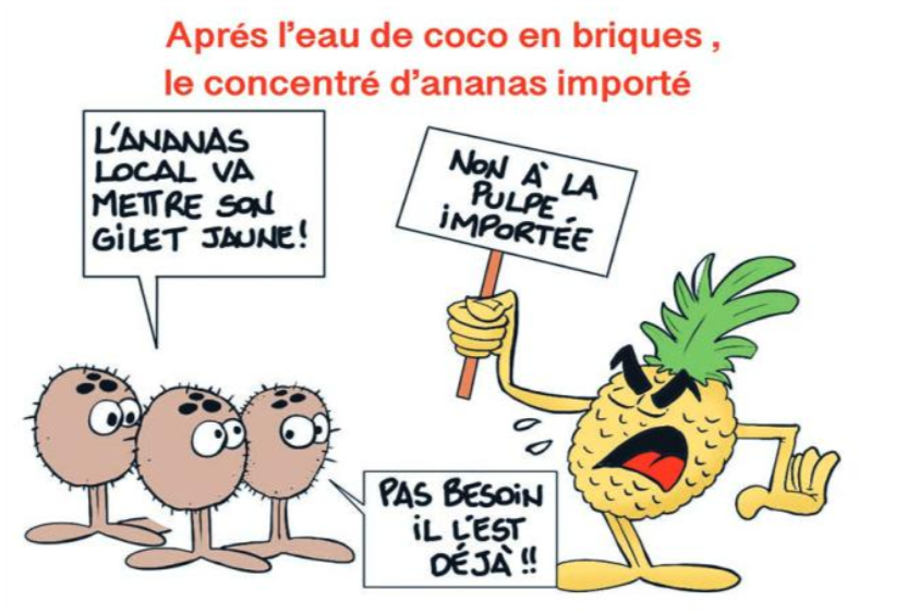 " Le concentré d’ananas importé " vu par Munoz
