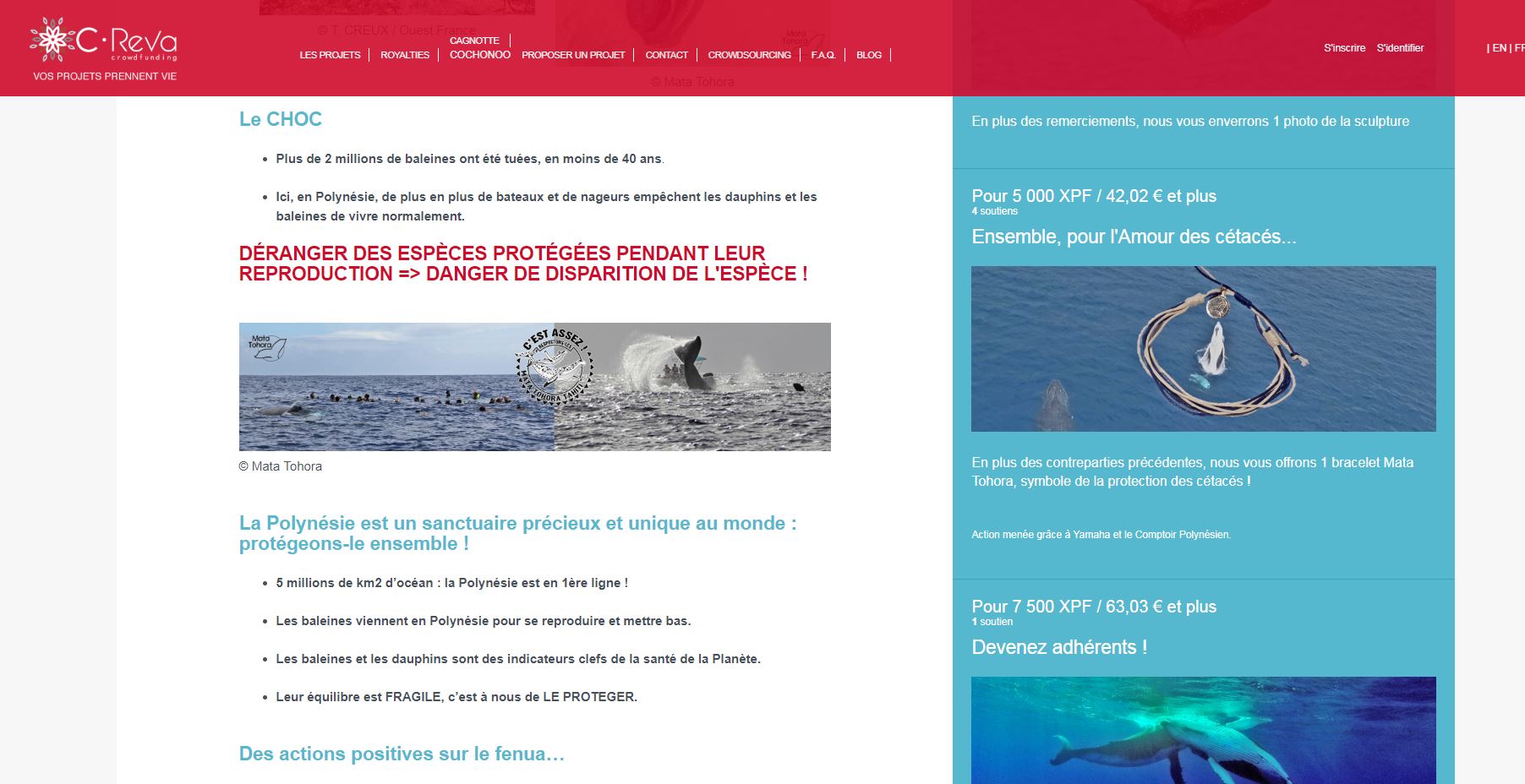 Mata Tohora lance une campagne de crowdfunding