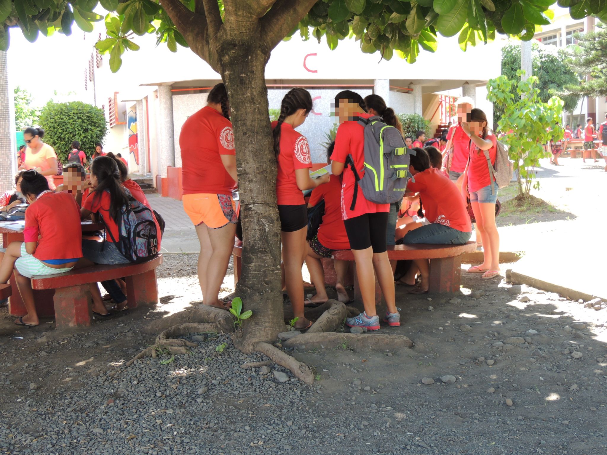 A la prochaine rentrée, une section « européenne ou de langues orientales » va être mise en place.