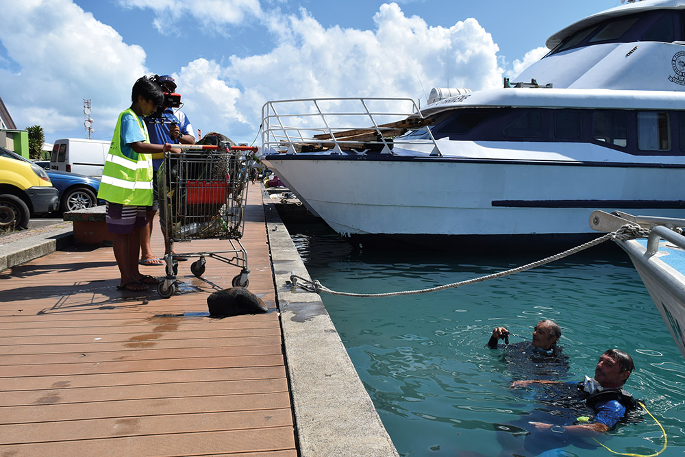 Les élèves du collège de Faaroa ont prêté main forte au nettoyage du port.