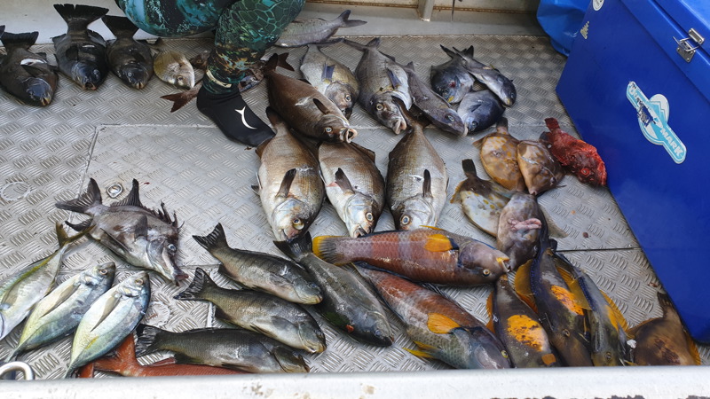 Bilan positif pour le team Tahiti