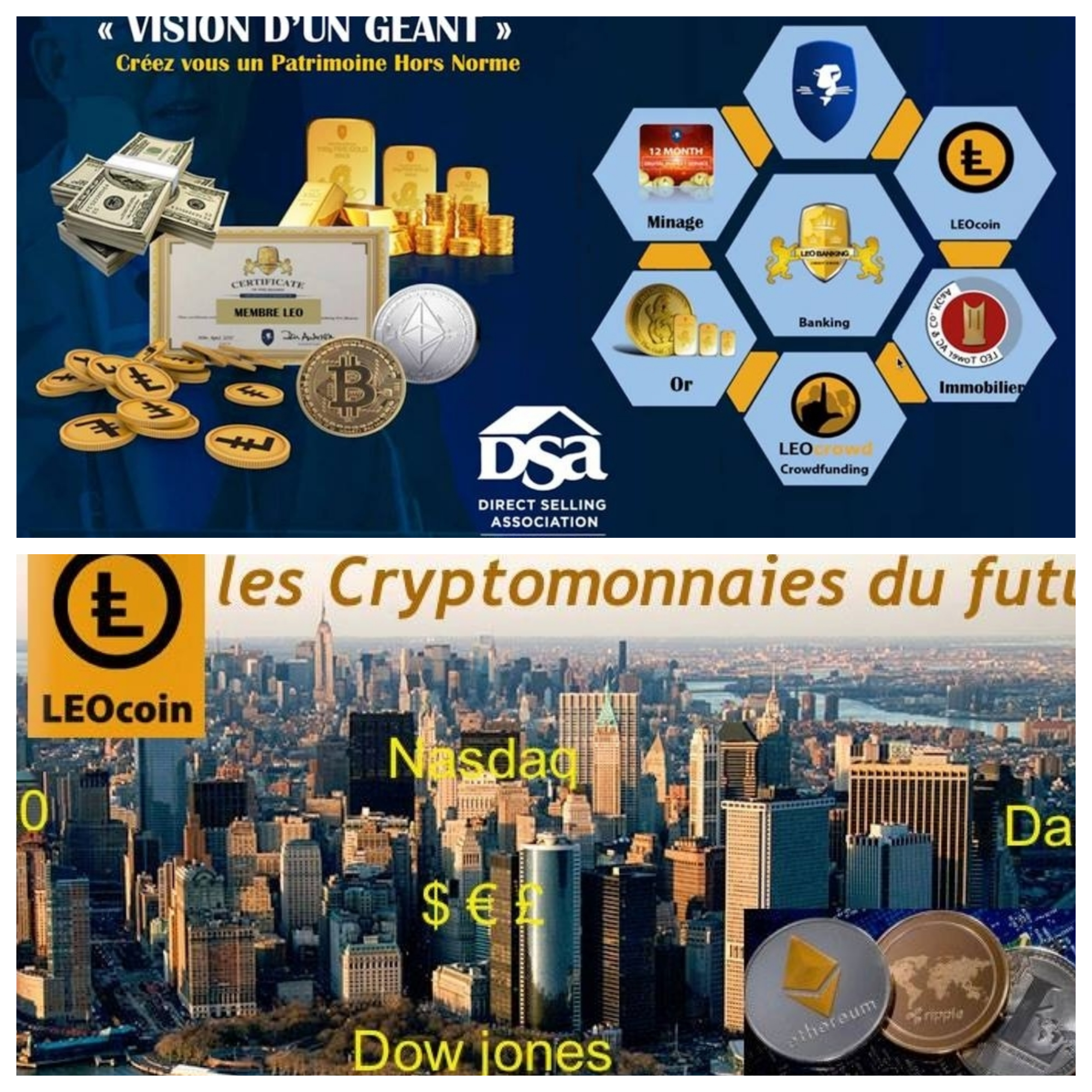 Se basant sur le succès du Bitcoin, les promoteurs des leocoins assurent que ceux-ci vont voir leur valeur grandir. Pourtant les prix sur le site internet des leocoins sont indiqués en livres sterling… A aucun moment, il n’est indiqué qu’on peut acheter en leocoins sur leur propre site internet…
