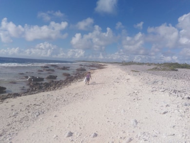 Des centaines de sacs plastiques sur le récif de Kauehi