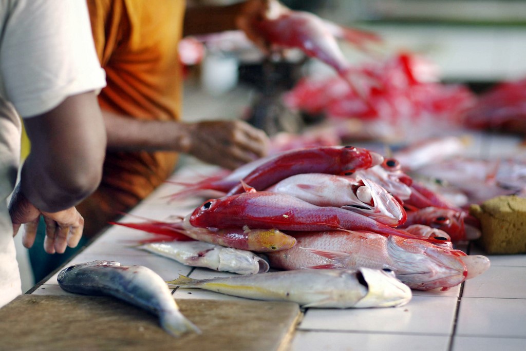 Antilles: Un arrêté limite le chlordécone dans toutes les viandes et poissons