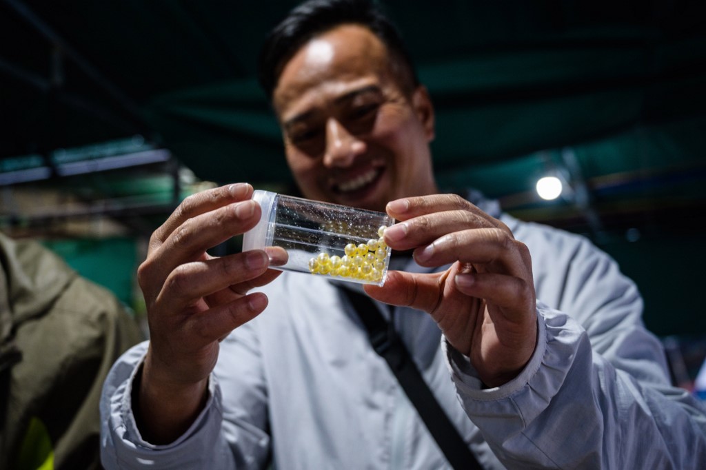 A Hong Kong, un scientifique veut ressusciter la "Perle de l'Orient"