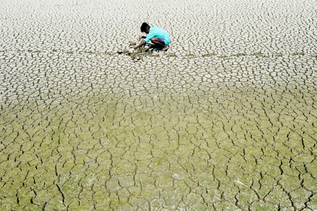 Dans l'Inde en sécheresse, un homme tué dans une rixe pour de l'eau