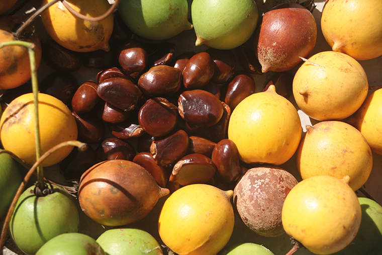 Carnet de voyage - Balade autour de Raivavae