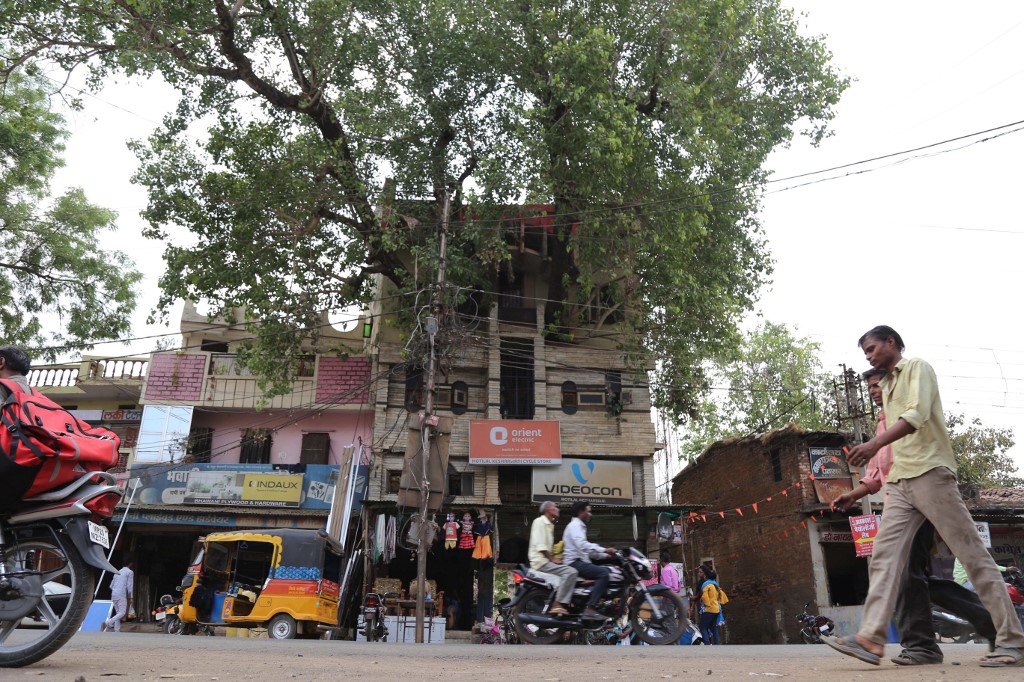 En Inde, une maison construite autour d'un arbre