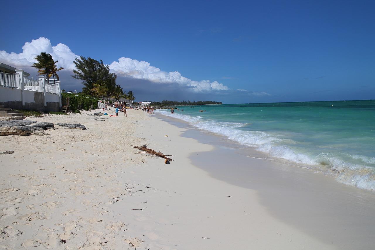 Une Américaine tuée par des requins aux Bahamas