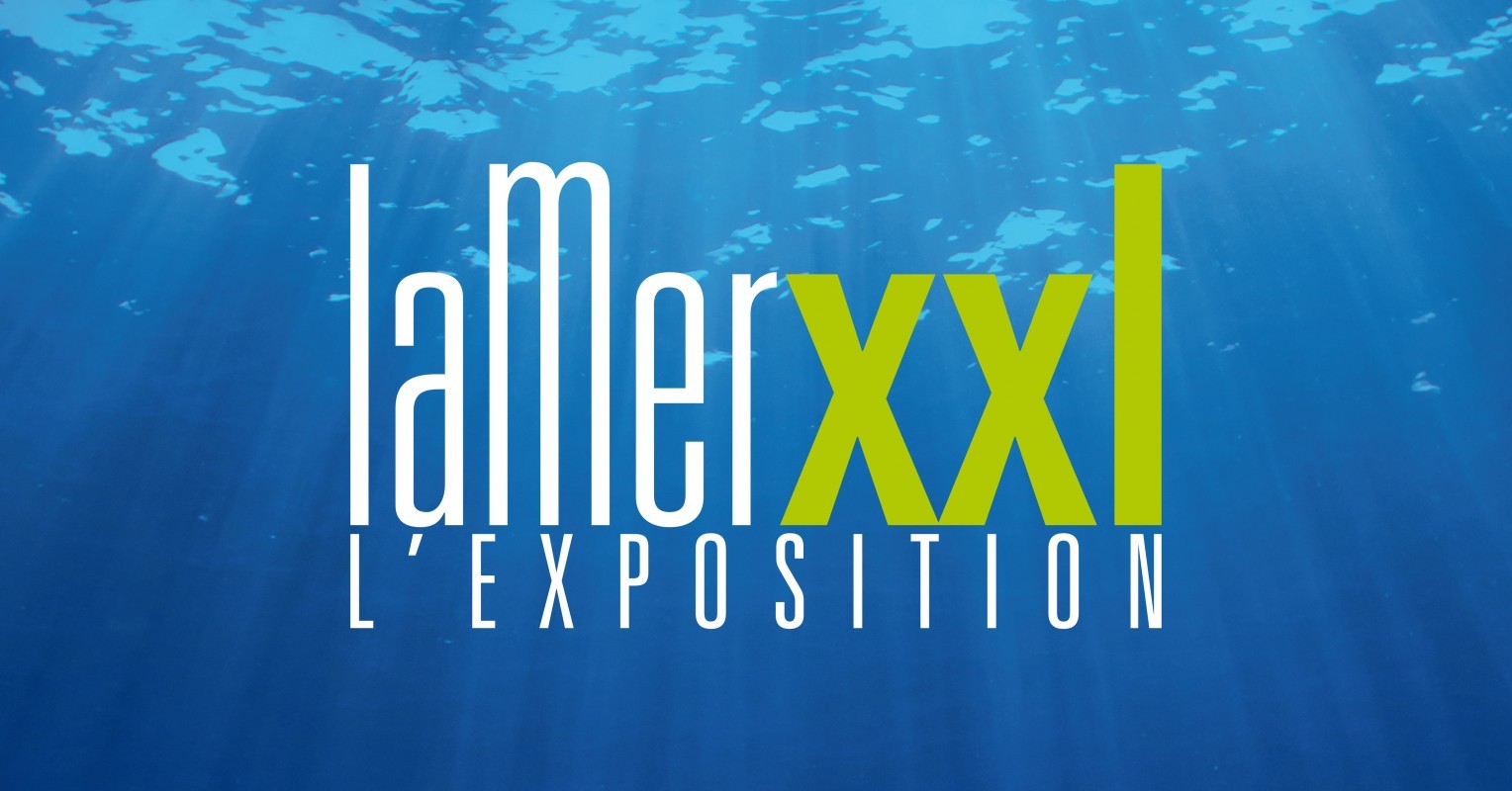 "La Mer XXL", immersion spectaculaire dans les océans à Nantes