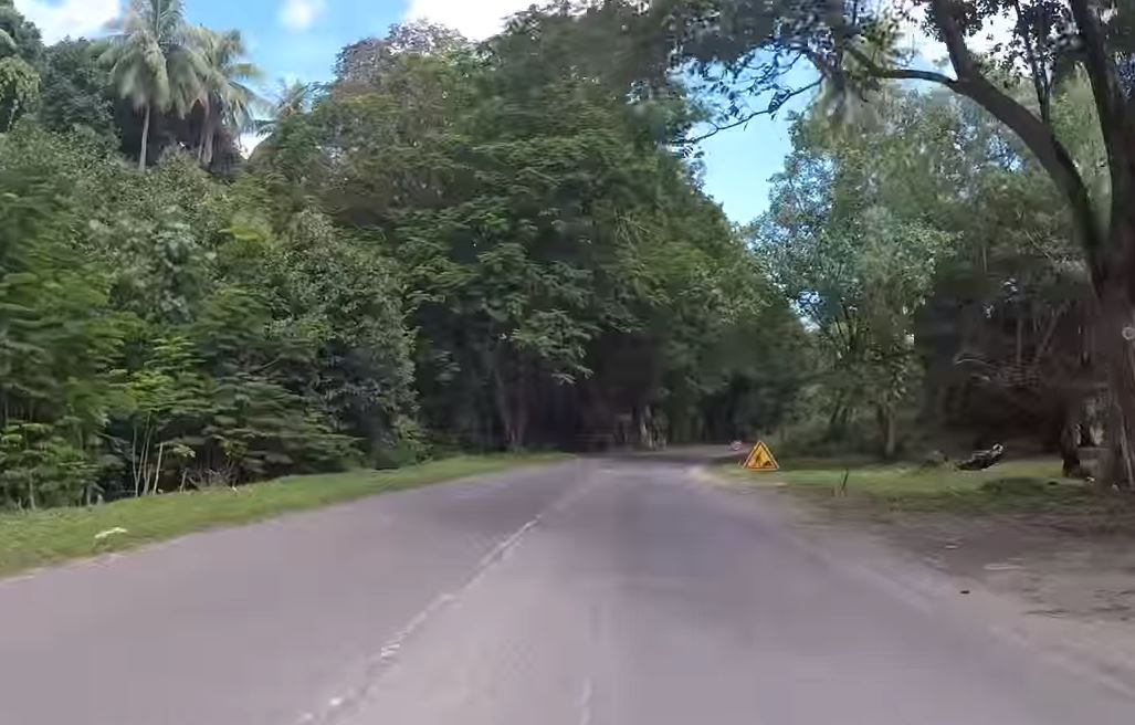 Bernard Travaux attaque le marché du bitumage à Moorea
