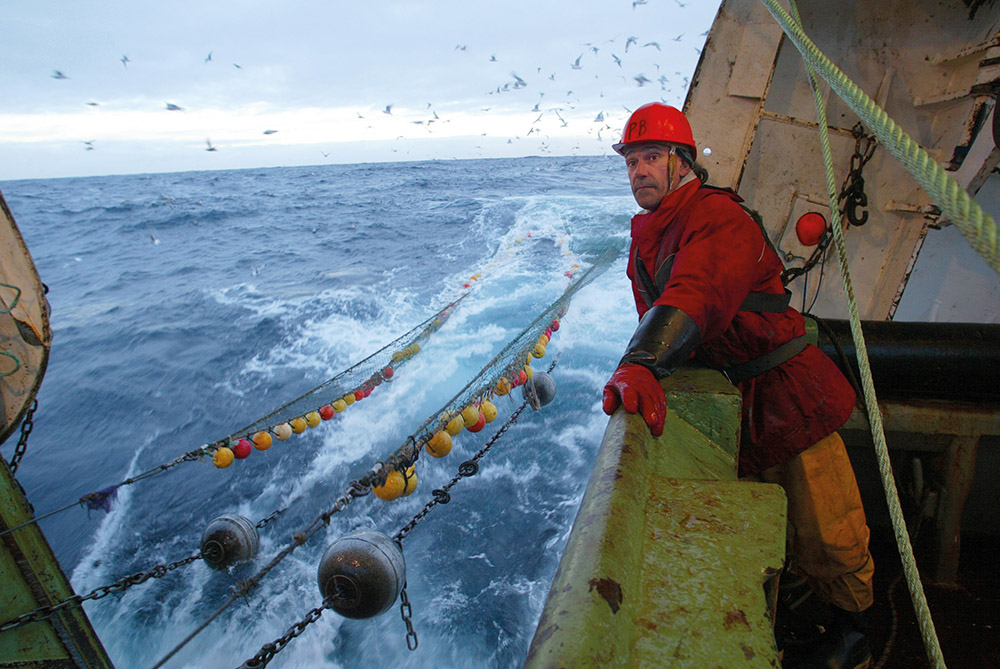 L'UE interdit la pêche au cabillaud en mer Baltique jusqu'au 31 décembre