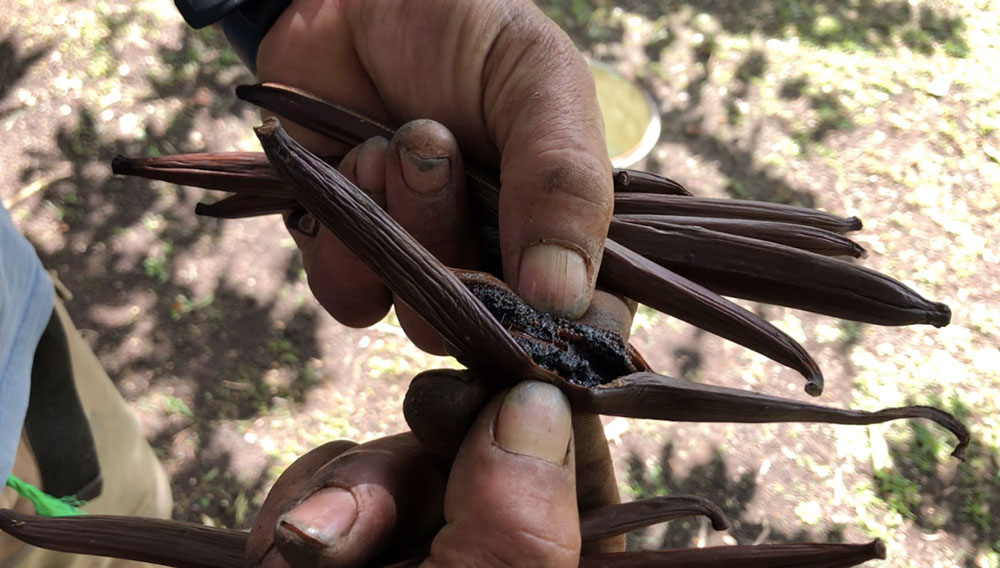 "C'est en effet beaucoup de travail mais j'adore ce que je fais", confie l'agriculteur.