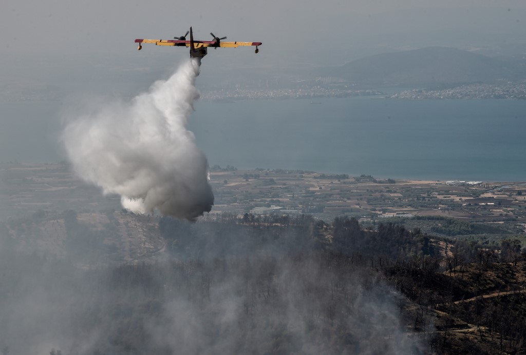 "Catastrophe écologique" sur l'île grecque d'Eubée ravagée par les flammes