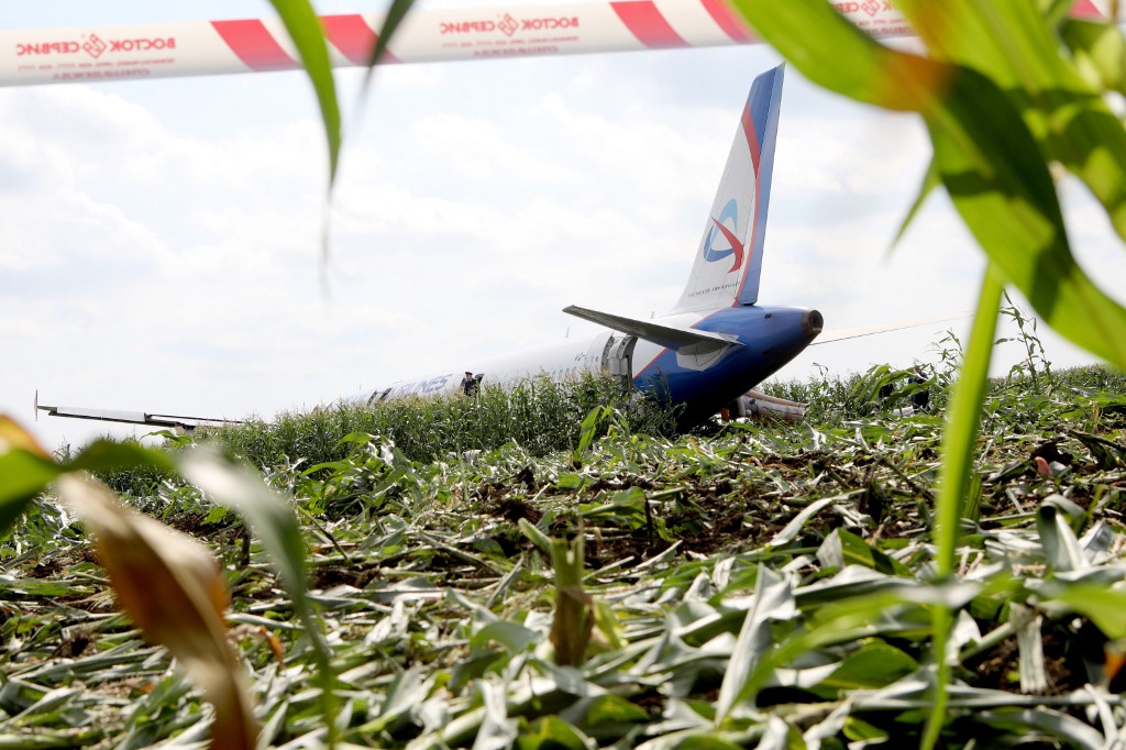 Russie : un Airbus atterrit d'urgence dans un champ de maïs, les pilotes salués en "héros"
