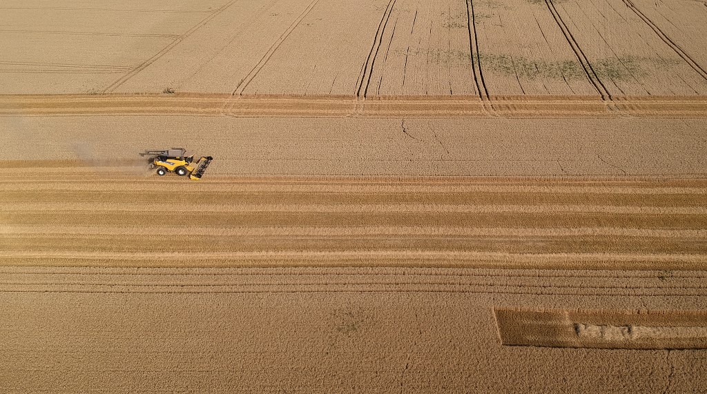 Sécheresse: les céréaliculteurs auvergnats inquiets après une récolte catastrophique