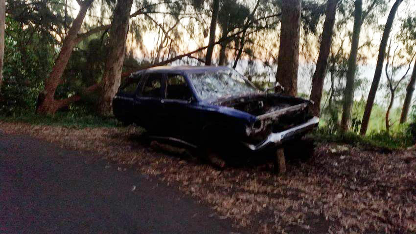 Pendant deux heures lundi, les services techniques ont dû élaguer les arbres sur le tronçon de la route.