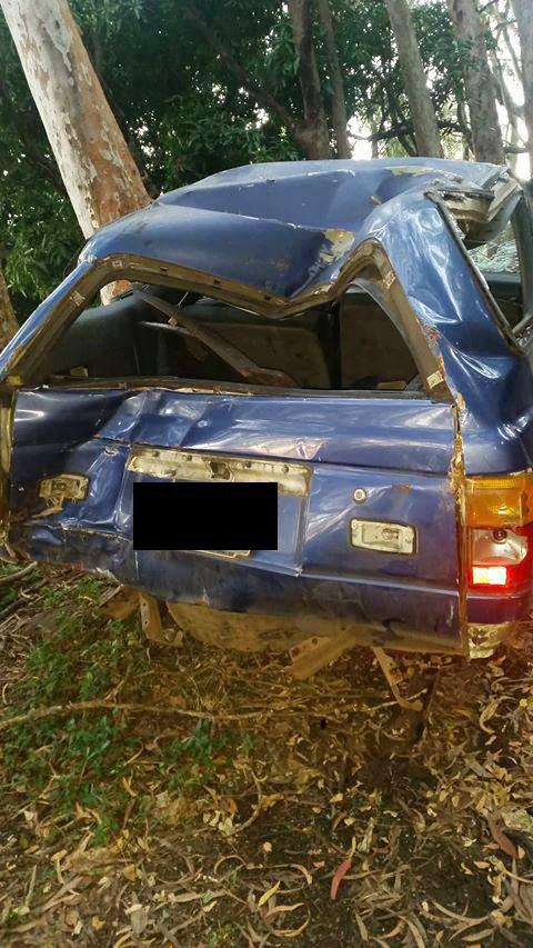 Opération spectaculaire pour enlever une carcasse au Belvédère 