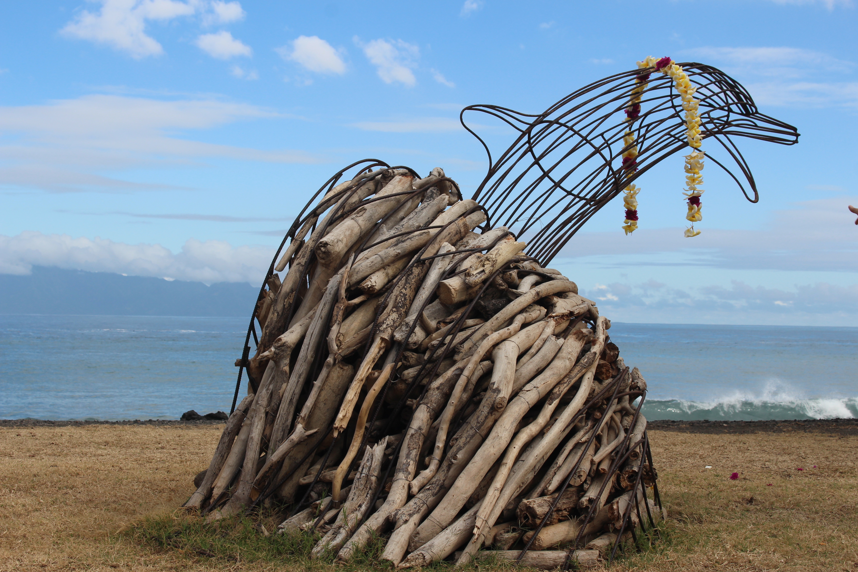 Un espace dédié aux cétacés au Musée de Tahiti et des îles