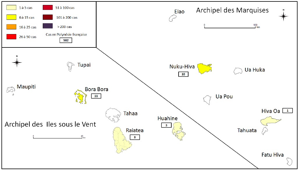Le nombre de cas de dengue 2 recensés aux îles Sous-le-vent et aux Marquises du 10 février au 2 septembre 2019.