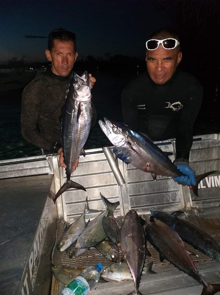 Hiro Johnson (à droite), participera également