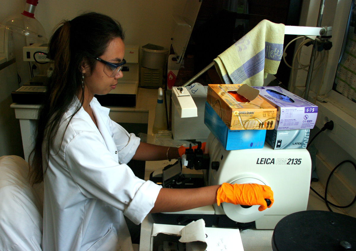 Caline Basset, technicienne en histologie. C'est une technique pour préparer des coupes fines d'organes pour l'observation au microscope. Elle présentera son travail à la journée portes ouvertes de samedi.