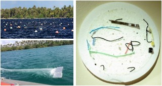 Des micro-plastiques dans nos lagons