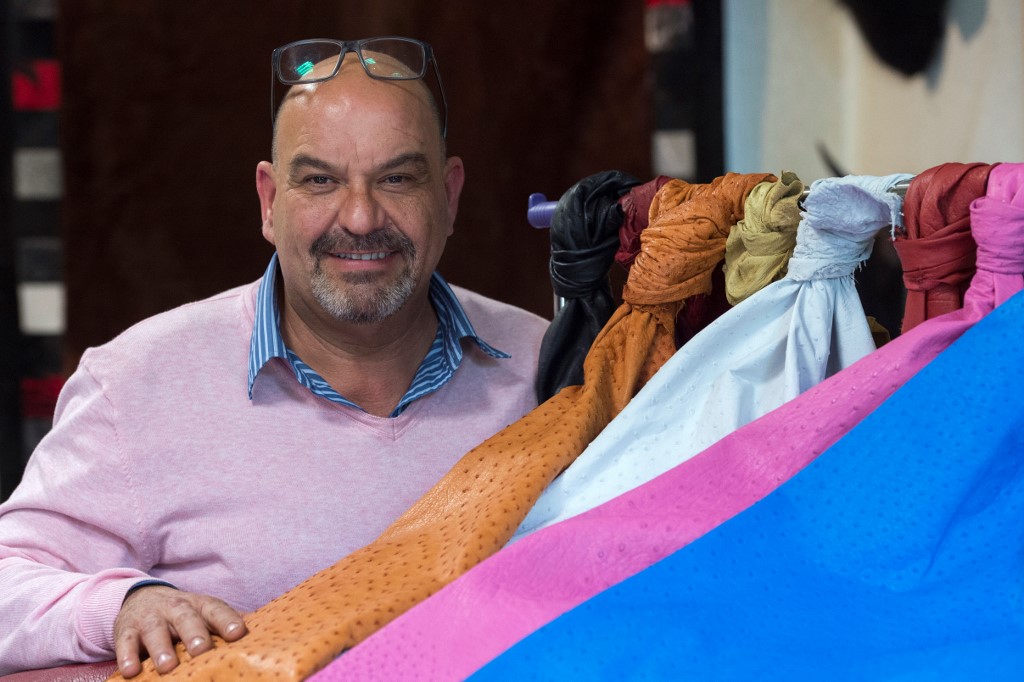 Dans le Cantal, Jorge Soler sublime la peau d'autruche, un savoir-faire unique en France