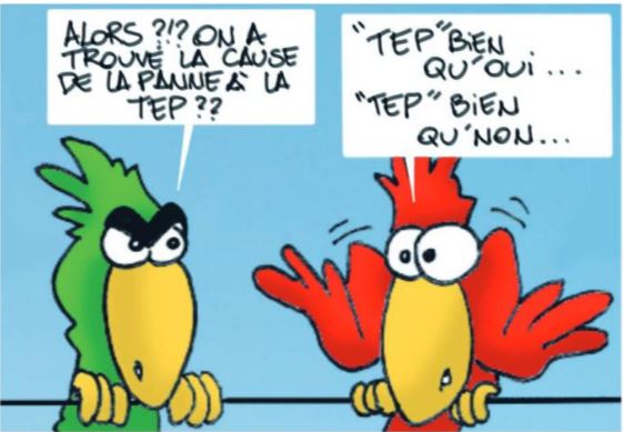 "TEP by TEP" par MUNOZ