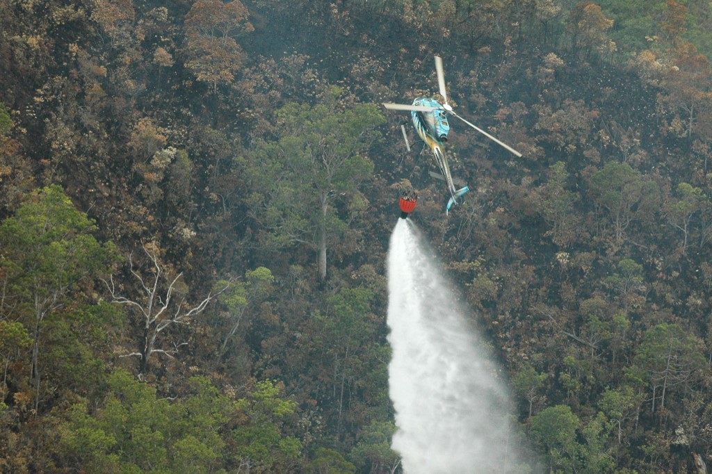 Près de 10.000 hectares brûlés en Nouvelle-Calédonie en un mois et demi