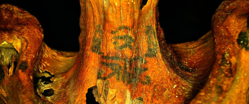 Des momies égyptiennes vieilles de 4 000 ans ont été découvertes, porteuses de spectaculaires tatouages sans doute à but cultuels.