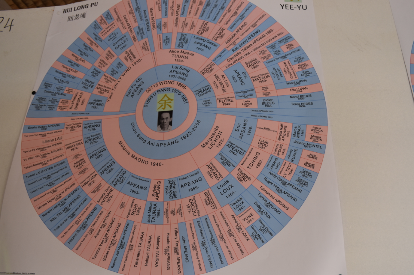 Sur les traces de la rhumerie et du cimetière chinois de Atimaono
