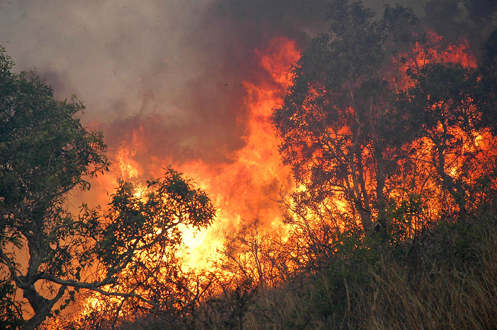 Important incendie de forêt à la périphérie de Nouméa