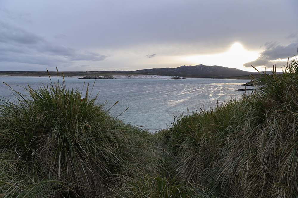 Déjà menacés, les océans en manque d'oxygène