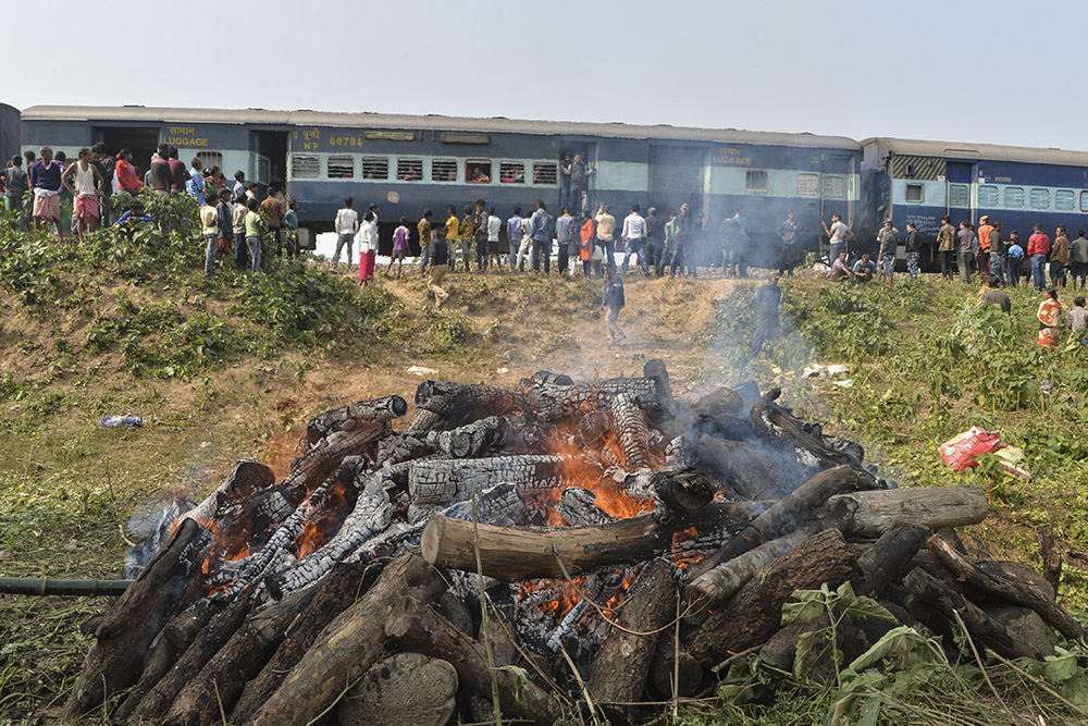 Inde: deux éléphants tués par un train et incinérés