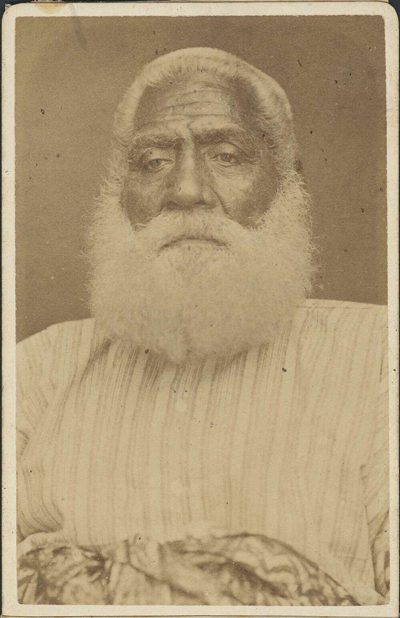 Le roi Cakobau fut bien involontairement, avec ses fils et sa suite, à l’origine de la transmission de la rougeole aux Fidji, à son retour de Sydney.