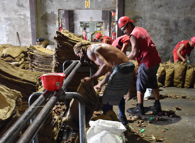 Coprah : Le rapport qui veut secouer le cocotier