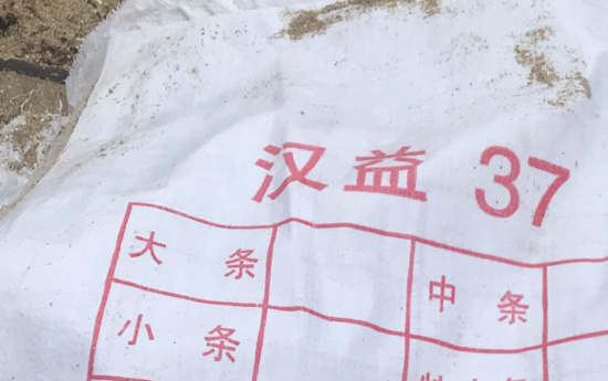Les sacs de Faaone propriété d’un navire chinois coulé